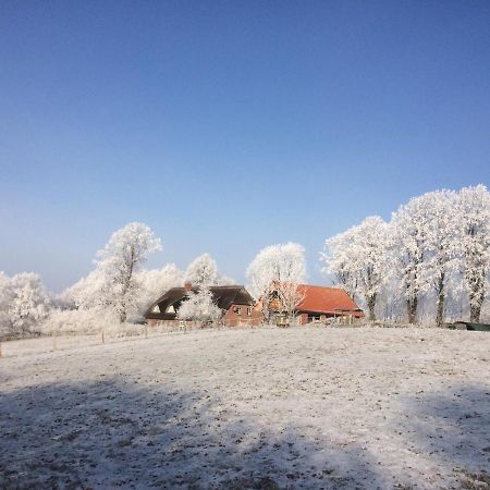 Hoheluft Am Wittensee Apt 3 Gross Wittensee Eksteriør bilde